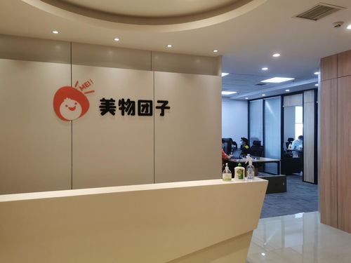 武漢美物團子科技服務 專業的技術支持與創新解決方案